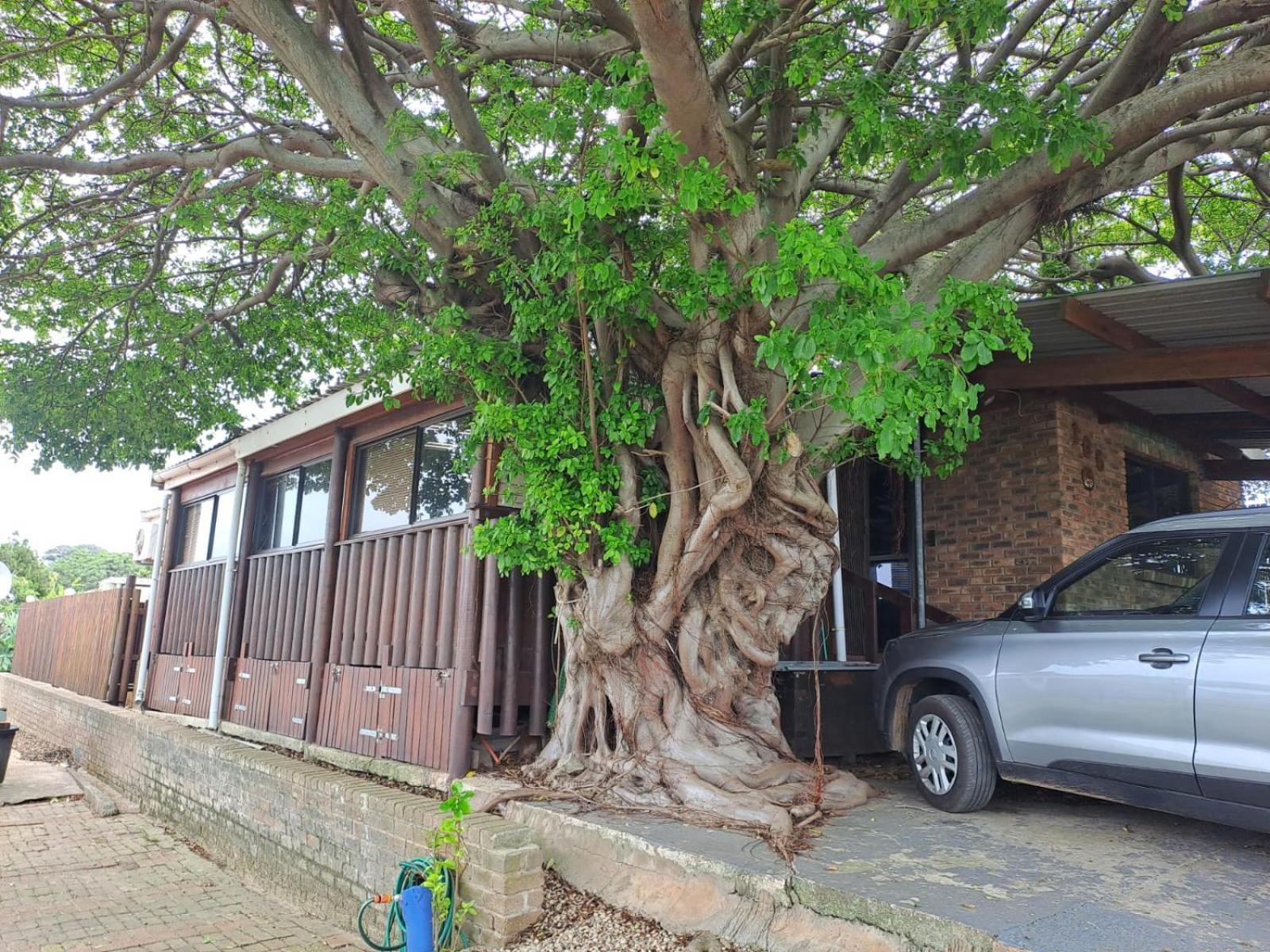 Seaviews Holiday Resort Jeffreys Bay Luaran gambar